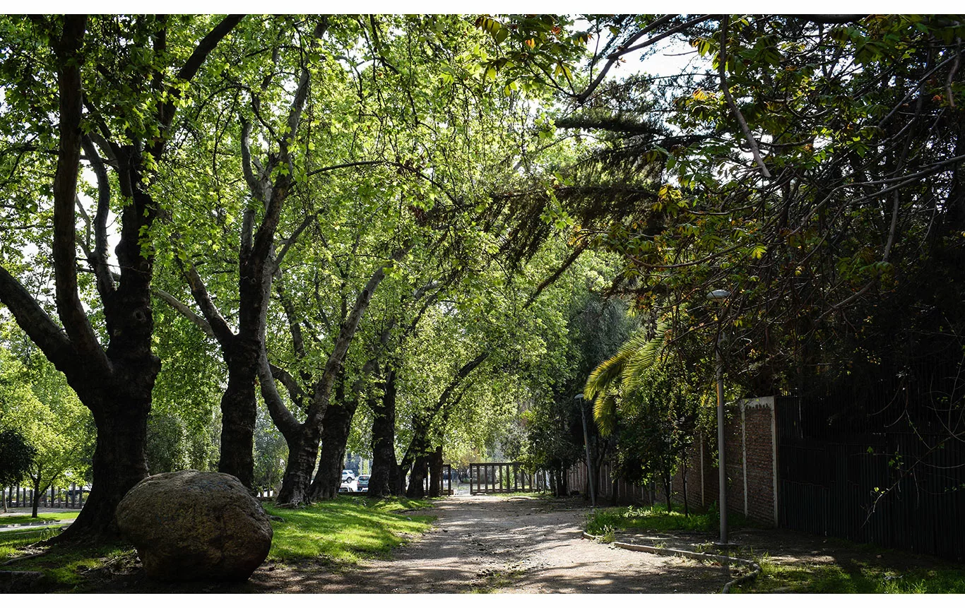 Sinergia_Alto_Macul_Alta_Vista_Deptos_entorno_DSC_0317_1